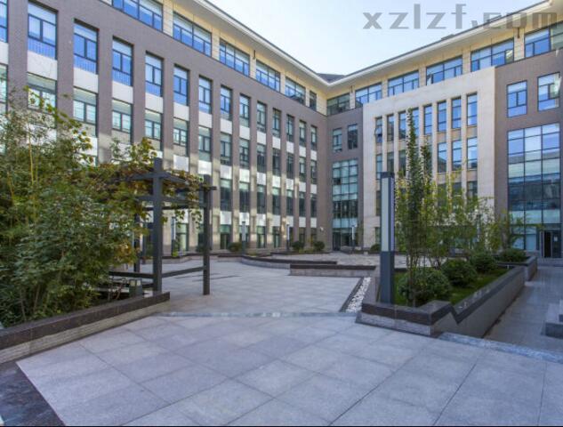 中兴通大厦有面积出租吗？