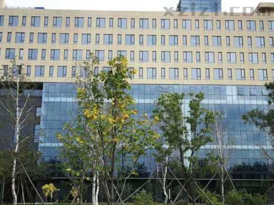 国本文化大厦有多大面积出租呢？