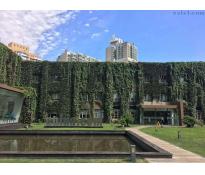 正通创意中心独栋0中等装修1200㎡