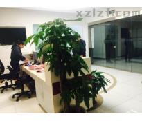 北美国际商务中心写字楼精装修900㎡