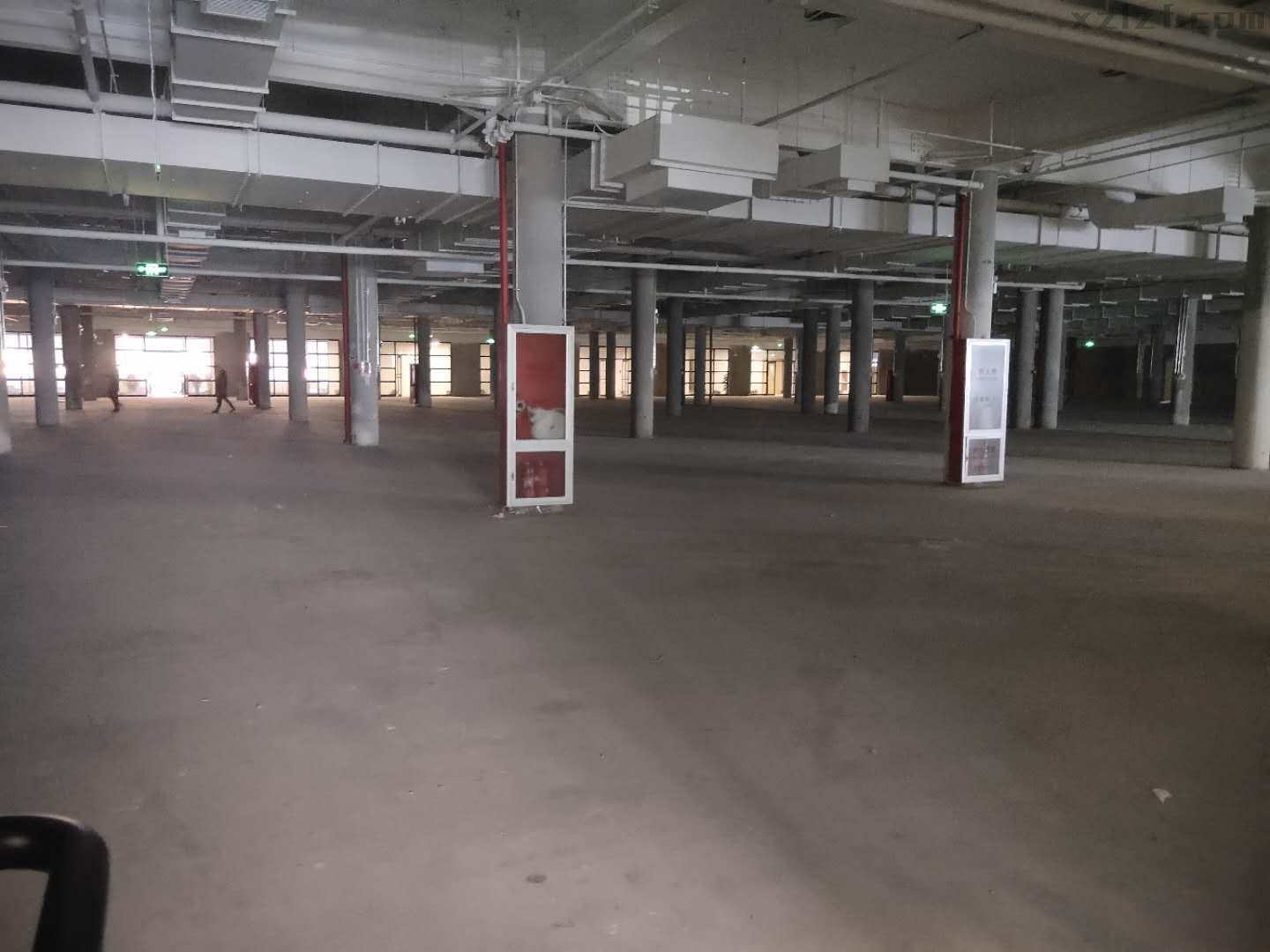 学院八号（学院8号）金五星改造