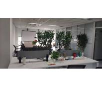 中坤大厦写字楼中等装修197㎡